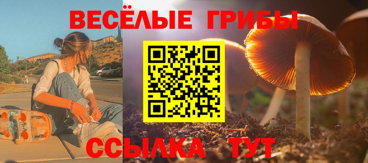 Галлюциногенные грибы прущие грибы  Вход с VPN  Галлюциногенные грибы ЛСД  Орёл 